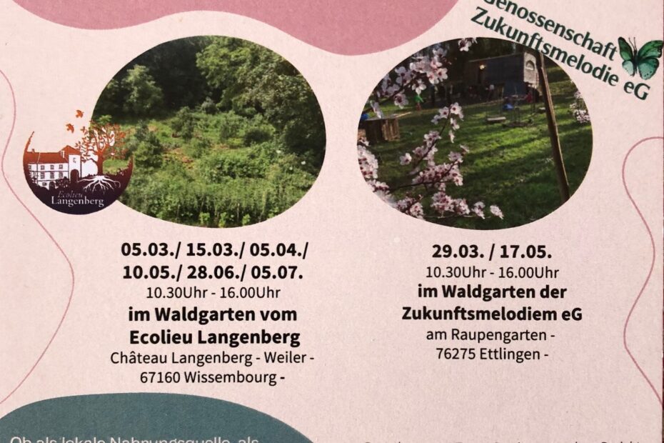 Waldgaerten